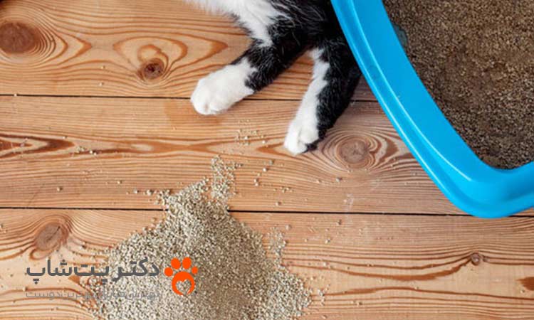 انواع ظرف خاک گربه
