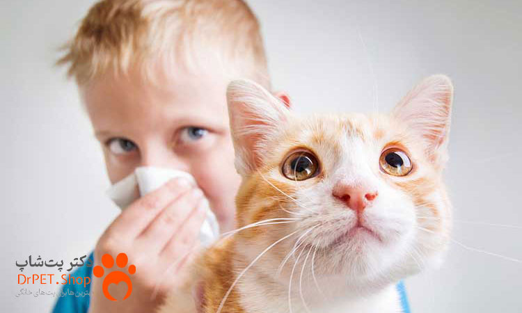چگونه حساسیت در حیوانات خانگی را تشخیص دهیم؟